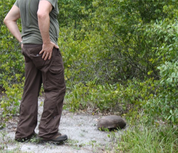 Saving the Gopher Tortoise, Florida Trail Extension (Jonathan Dickinson Trail)