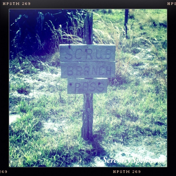 Bluefield Ranch Signage