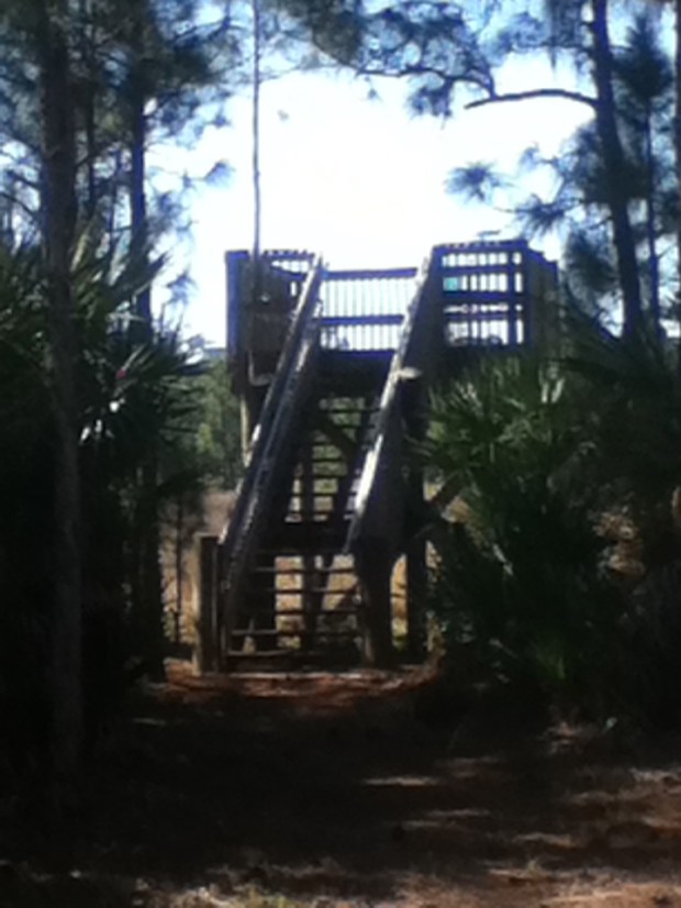 Observation Tower, Wetlands Area, Bluefield Ranch