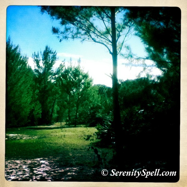 Hiking Trail, Bluefield Ranch