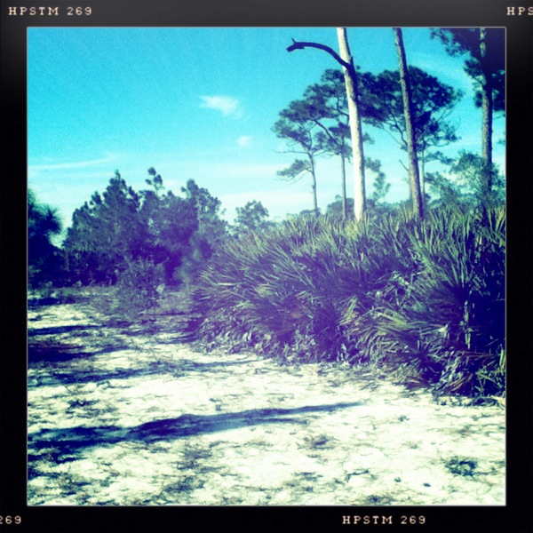 Scrubby Flatwoods, Bluefield Ranch