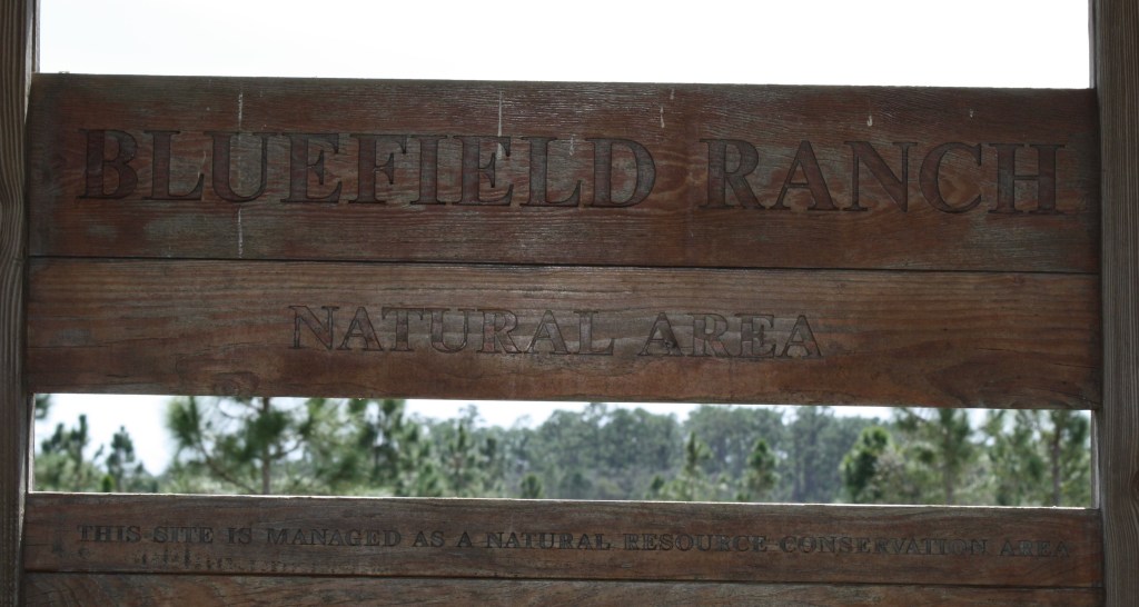 Bluefield Ranch Sign