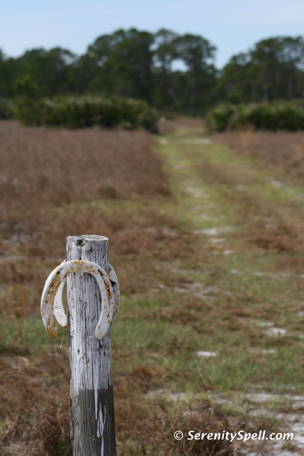 Entry to Equestrian Loop, Bluefield Ranch