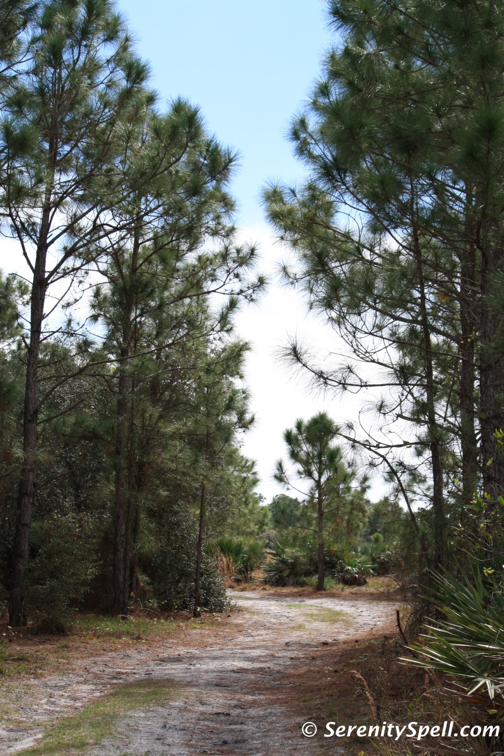 Multi-Use Entry Trail, Bluefield Ranch