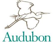 National Audubon Society Logo — The Great Egret in Flight (Courtesy of The National Audubon Society)