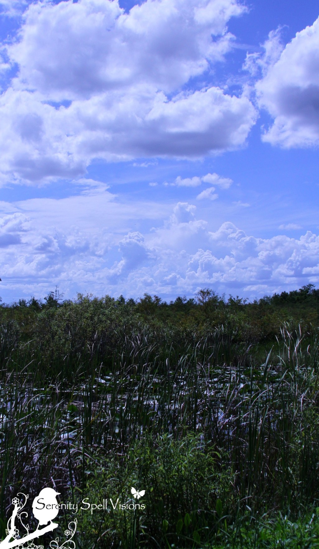 Arthur R. Marshall Loxahatchee National Wildlife Refuge