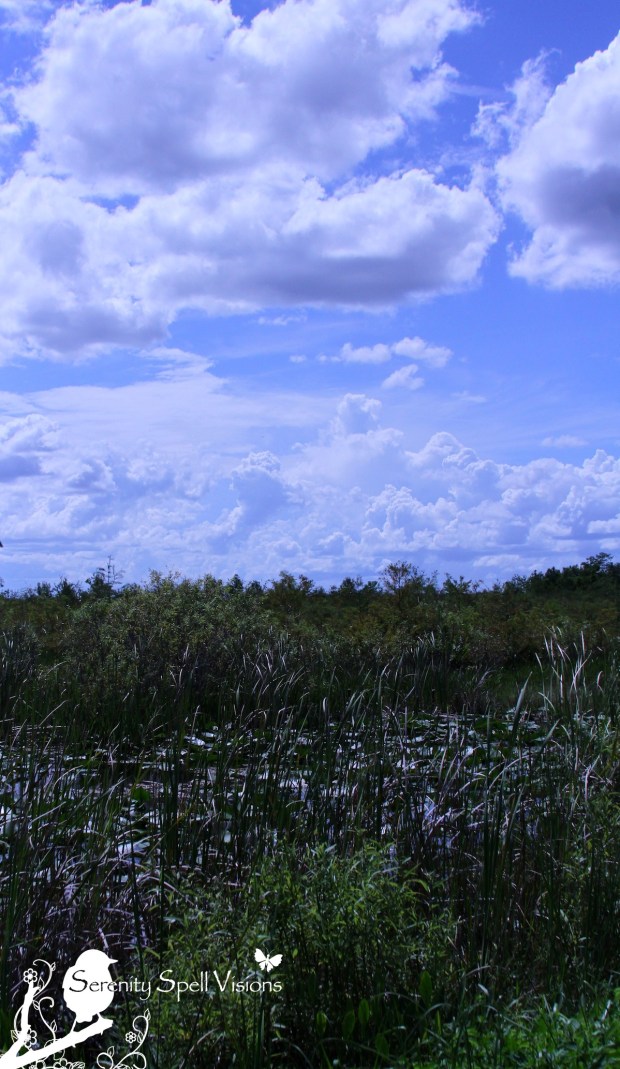 Arthur R. Marshall Loxahatchee National Wildlife Refuge