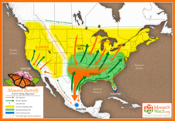 Monarch Fall and Spring Migrations Map, Monarch Watch